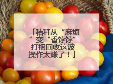 秸秆从“麻烦”变“香饽饽” 打捆回收这波操作太赚了！