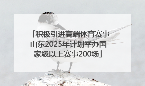 积极引进高端体育赛事 山东2025年计划举办国家级以上赛事200场
