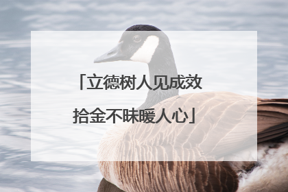 立德树人见成效 拾金不昧暖人心