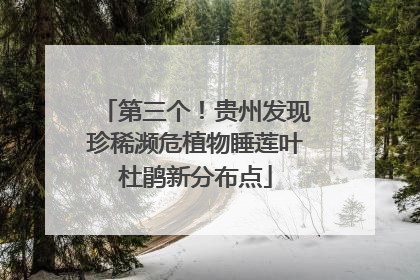 第三个！贵州发现珍稀濒危植物睡莲叶杜鹃新分布点