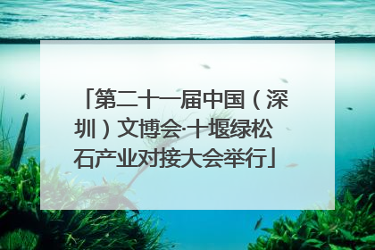 第二十一届中国（深圳）文博会·十堰绿松石产业对接大会举行