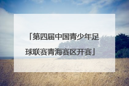 第四届中国青少年足球联赛青海赛区开赛