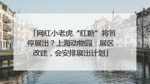 网红小老虎“红糖”将暂停展出？上海动物园：展区改建，会安排展出计划