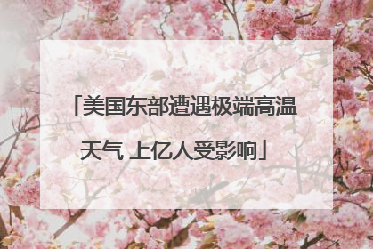 美国东部遭遇极端高温天气 上亿人受影响