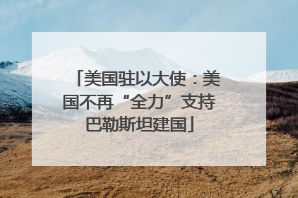 美国驻以大使：美国不再“全力”支持巴勒斯坦建国