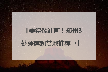 美得像油画！郑州3处睡莲观赏地推荐→