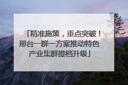 精准施策，重点突破！邢台一群一方案推动特色产业集群提档升级
