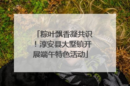 粽叶飘香凝共识！淳安县大墅镇开展端午特色活动