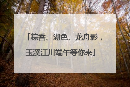 粽香、湖色、龙舟影，玉溪江川端午等你来