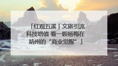 红观五溪｜文旅引流 科技增值 看一颗杨梅在靖州的“商业觉醒”