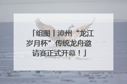 组图丨漳州“龙江岁月杯”传统龙舟邀请赛正式开幕！