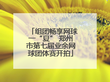 组团畅享网球一“夏” 郑州市第七届业余网球团体赛开拍