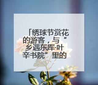 绣球节赏花的游客，与“乡遇东厍·叶辛书院”里的新书首发偶遇了