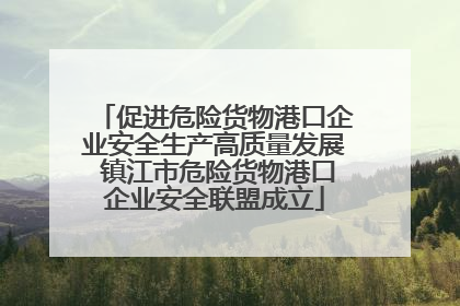 促进危险货物港口企业安全生产高质量发展 镇江市危险货物港口企业安全联盟成立