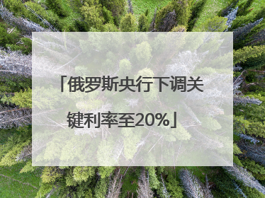 俄罗斯央行下调关键利率至20%