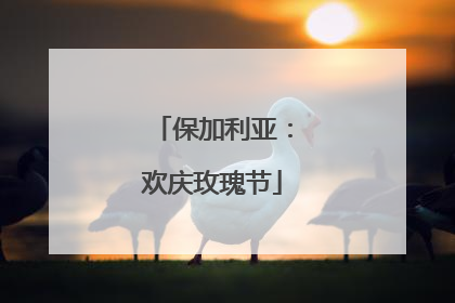 保加利亚：欢庆玫瑰节