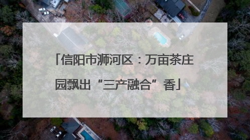 信阳市浉河区：万亩茶庄园飘出“三产融合”香