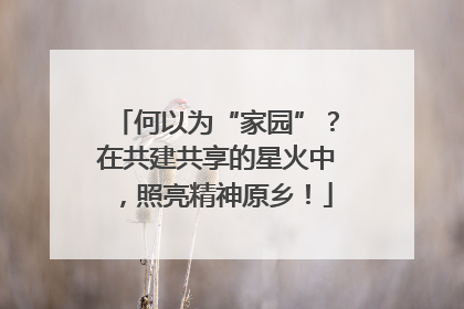 何以为“家园”？在共建共享的星火中，照亮精神原乡！