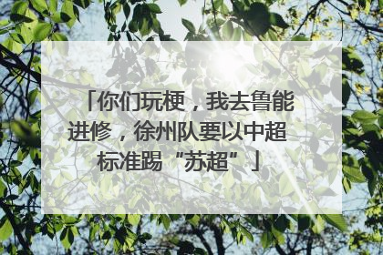你们玩梗，我去鲁能进修，徐州队要以中超标准踢“苏超”