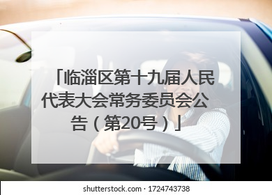 临淄区第十九届人民代表大会常务委员会公告（第20号）