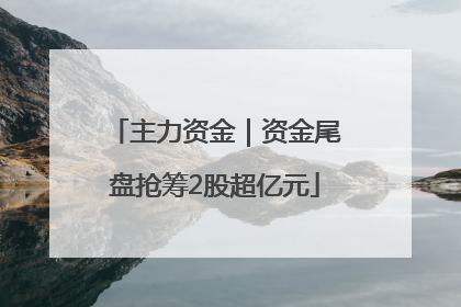 主力资金｜资金尾盘抢筹2股超亿元