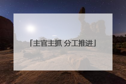 主官主抓 分工推进
