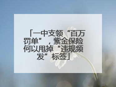 一中支领“百万罚单”，紫金保险何以甩掉“违规频发”标签
