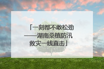 一刻都不敢松劲——湖南桑植防汛救灾一线直击