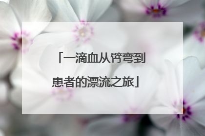 一滴血从臂弯到患者的漂流之旅