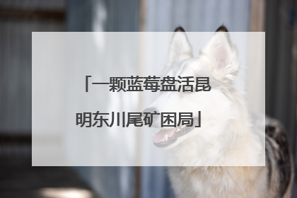 一颗蓝莓盘活昆明东川尾矿困局