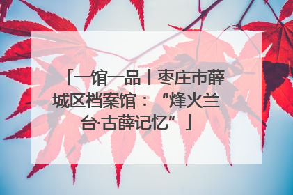 一馆一品丨枣庄市薛城区档案馆：“烽火兰台·古薛记忆”