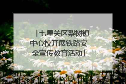 七星关区梨树镇中心校开展铁路安全宣传教育活动