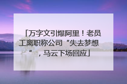 万字文引爆阿里！老员工离职称公司“失去梦想”，马云下场回应