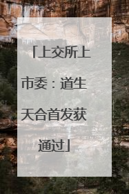 上交所上市委：道生天合首发获通过