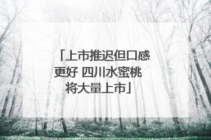 上市推迟但口感更好 四川水蜜桃将大量上市