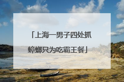 上海一男子四处抓蟑螂只为吃霸王餐