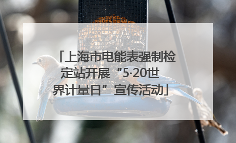 上海市电能表强制检定站开展“5·20世界计量日”宣传活动