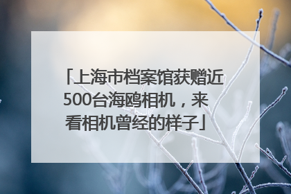 上海市档案馆获赠近500台海鸥相机，来看相机曾经的样子
