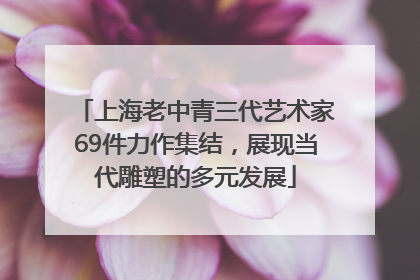 上海老中青三代艺术家69件力作集结，展现当代雕塑的多元发展