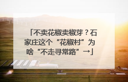 不卖花椒卖椒芽？石家庄这个“花椒村”为啥“不走寻常路”→
