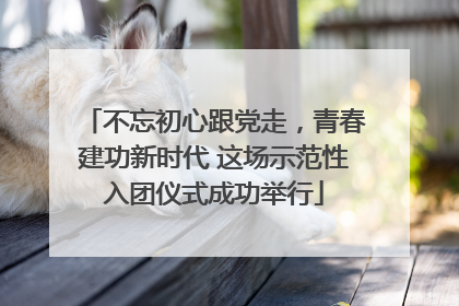 不忘初心跟党走，青春建功新时代 这场示范性入团仪式成功举行