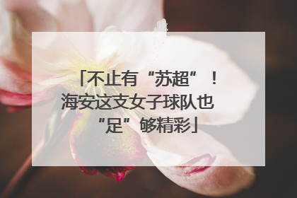 不止有“苏超”！海安这支女子球队也“足”够精彩