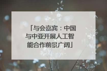 与会嘉宾：中国与中亚开展人工智能合作前景广阔