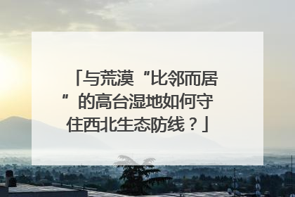 与荒漠“比邻而居”的高台湿地如何守住西北生态防线？