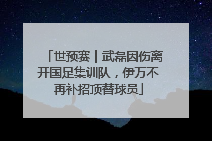 世预赛｜武磊因伤离开国足集训队，伊万不再补招顶替球员