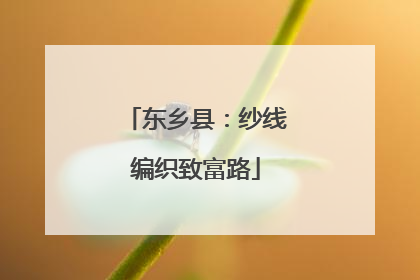 东乡县：纱线编织致富路