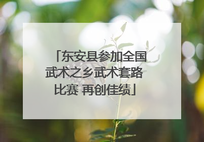 东安县参加全国武术之乡武术套路比赛 再创佳绩