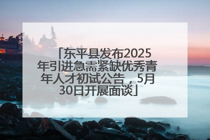 东平县发布2025年引进急需紧缺优秀青年人才初试公告，5月30日开展面谈