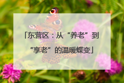 东营区：从“养老”到“享老”的温暖蝶变