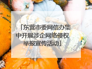 东营市委网信办集中开展涉企网络侵权举报宣传活动